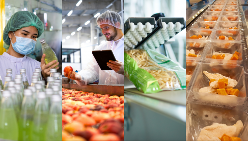 Diploma de Especialización en Innovación y Emprendimiento en la Industria Alimentaria Saludable