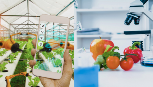 Copia de IM_PRO_MODELO (7)