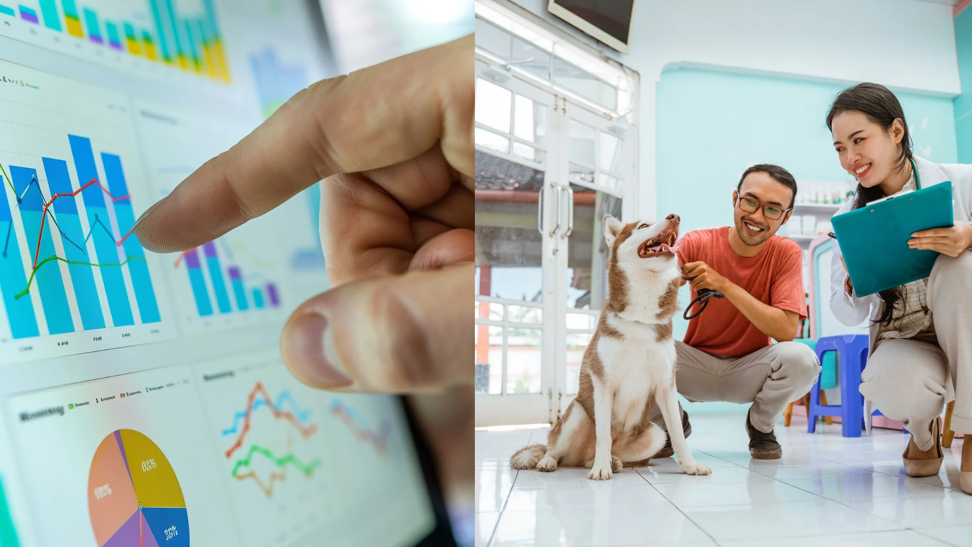 Gestión de Negocios Veterinarios (Chile)