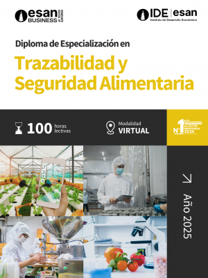 2025 BROCHURE DIPLOMAS IDE (3)