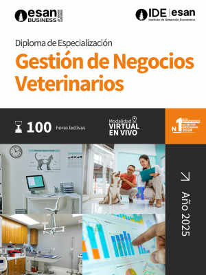 2025 BROCHURE DIPLOMAS IDE (7)