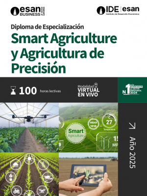 2025 BROCHURE DIPLOMAS IDE