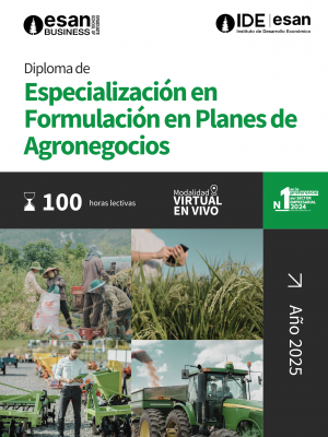 BROCHURE DIPLOMAS IDE 2025 (1)