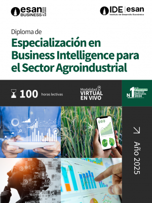 BROCHURE DIPLOMAS IDE 2025 (2)