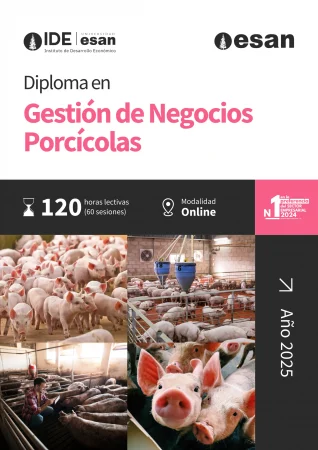 Diploma en Gestión de Negocios Porcícolas