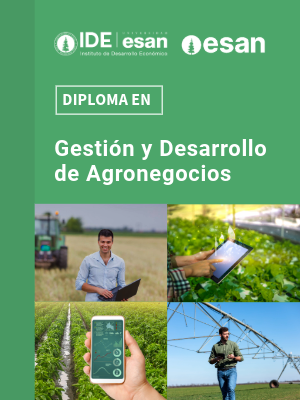 PORTADA AGRONEGOCIOS