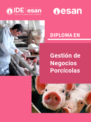 PORTADA GESTIÓN DE NEGOCIOS PORCÍCOLAS